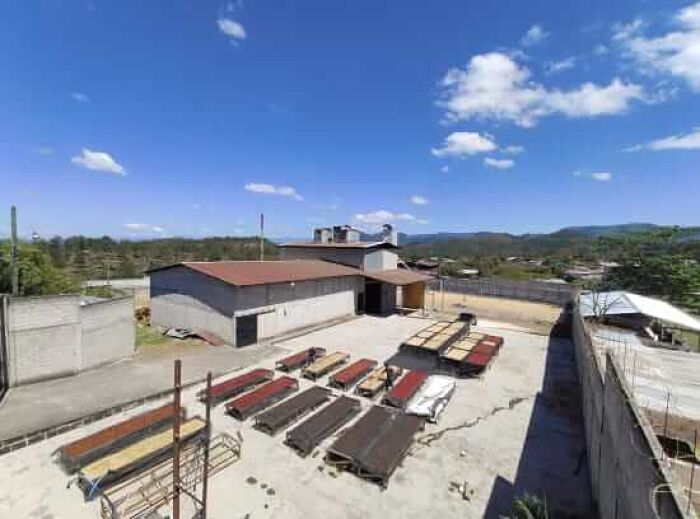 Montecillos