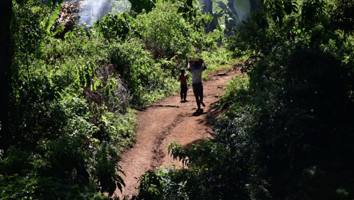 Hambela Wamena Gr.1